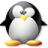 file:///home/joaquin/Desktop/Penguin48.png